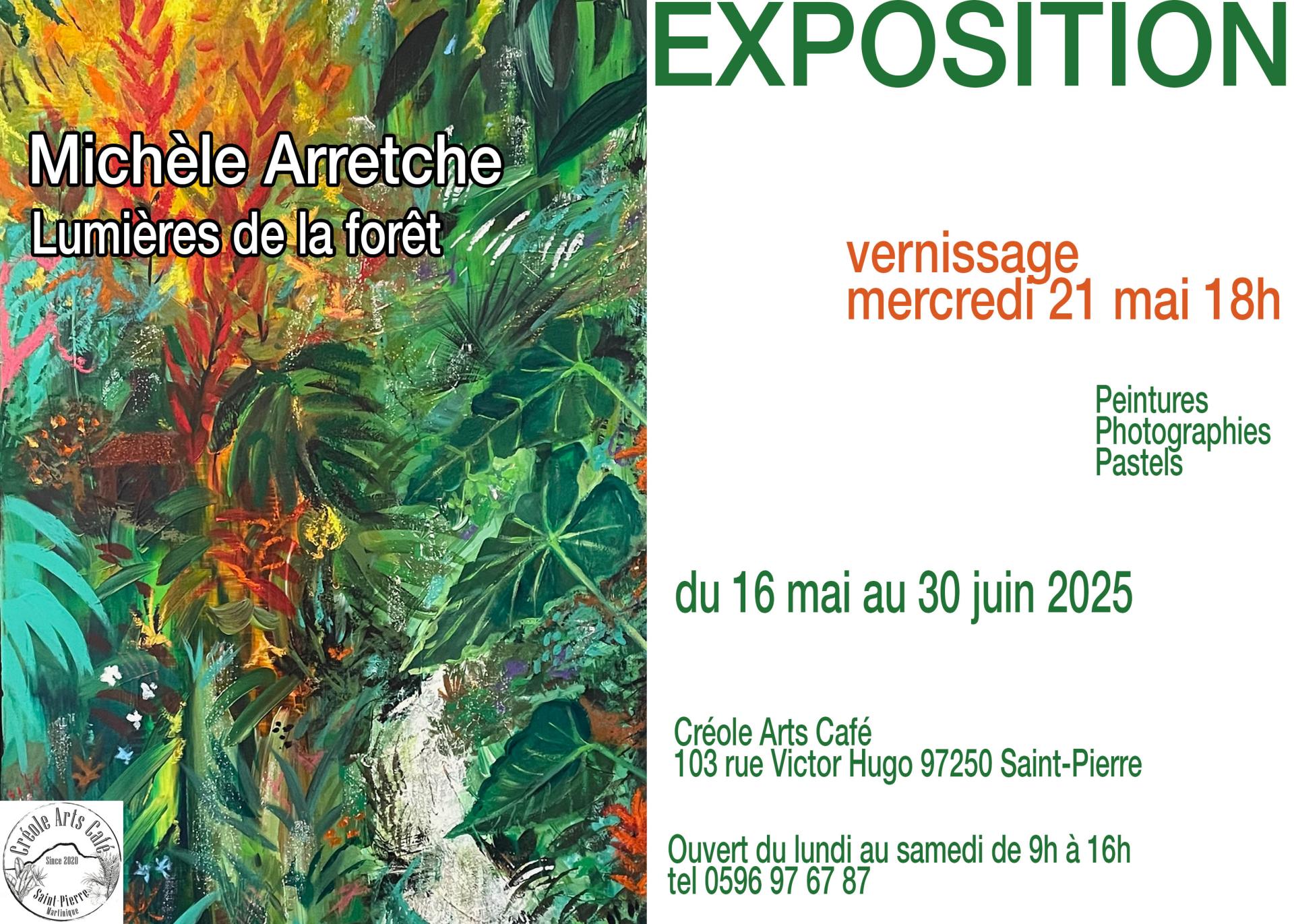 Expo lumieres de la forêt